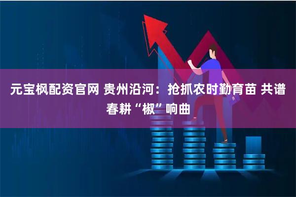 元宝枫配资官网 贵州沿河：抢抓农时勤育苗 共谱春耕“椒”响曲
