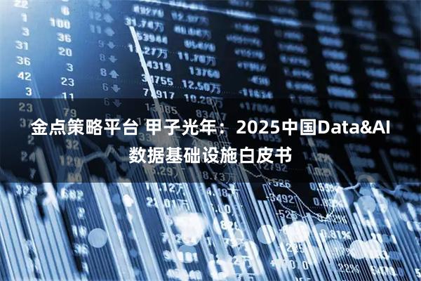 金点策略平台 甲子光年：2025中国Data&AI数据基础设施白皮书