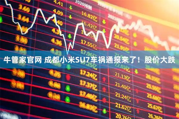 牛管家官网 成都小米SU7车祸通报来了！股价大跌